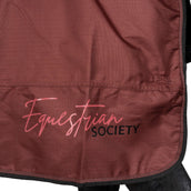 Harry's Horse Rain Rug Thor WI25 Fleece 0gr Spiced Apple Harry's Horse Rain Rug Thor WI25 Fleece 0gr Spiced Apple