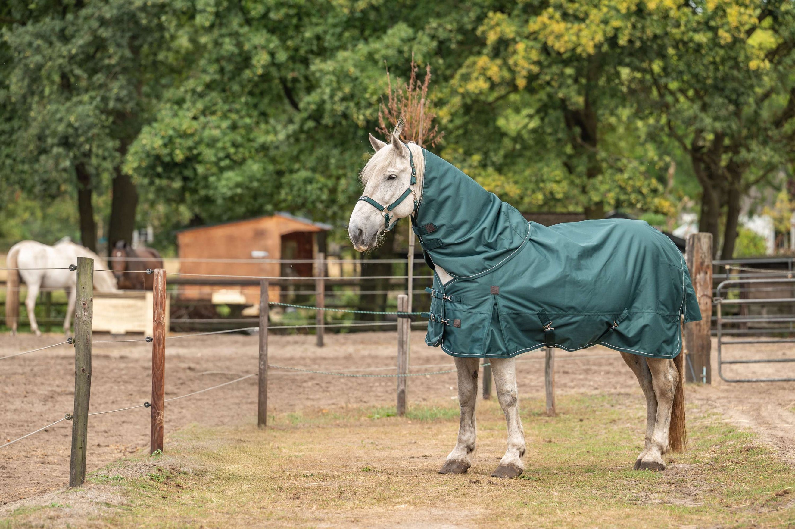 Agradi Horse Rug Set Agradi Horse Rug Set