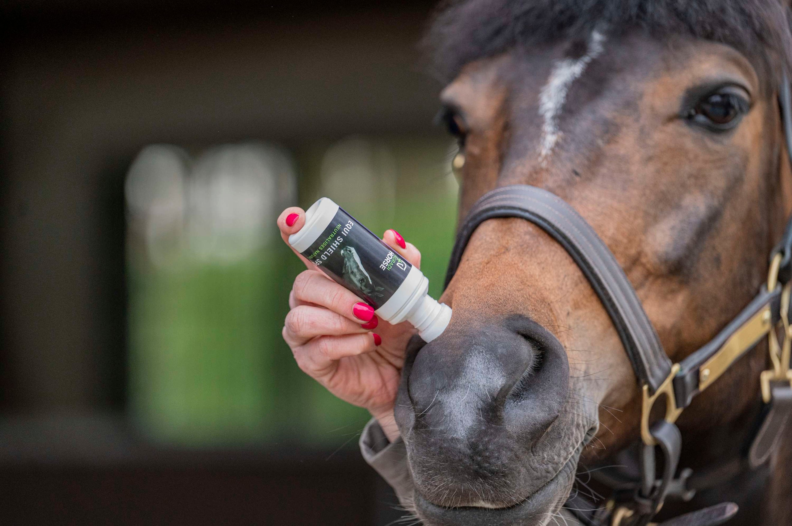 Agradi Horse Odor + Spons Agradi Horse Odor + Spons