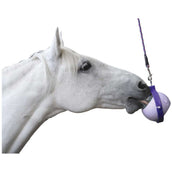 Likit Boredom Buster Likit Boredom Buster