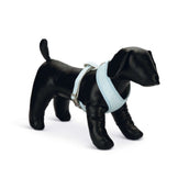 Beeztees Chest Buckle Harno Puppy Blue Beeztees Chest Buckle Harno Puppy Blue