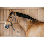 Dyon Bitless Bridle Brown Dyon Bitless Bridle Brown