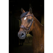 Eric Thomas Bridle Pro Design Havana Eric Thomas Bridle Pro Design Havana