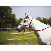 Norton Riding Halter with Reins Red Norton Riding Halter with Reins Red