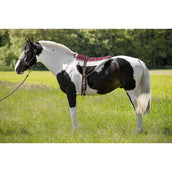 Norton Bareback Pad Brown/Beige Norton Bareback Pad Brown/Beige