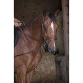 Norton Side Reins Pro Short Elastic with Pulleys Havana Norton Side Reins Pro Short Elastic with Pulleys Havana