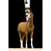 EQUITHÈME Fur Padded Nose Band Teddy Rose Gold EQUITHÈME Fur Padded Nose Band Teddy Rose Gold