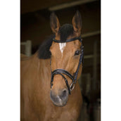 Norton Bridle Pro Rock Havana Norton Bridle Pro Rock Havana