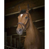 Norton Bridle Pro Rock Havana Norton Bridle Pro Rock Havana