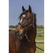 Norton Halter 4Lines Navy Norton Halter 4Lines Navy