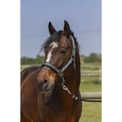 Norton Halter 4Lines Dark Green Norton Halter 4Lines Dark Green