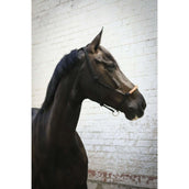 Pénélope Rope Halter Western Pénélope Rope Halter Western