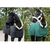 HB Showtime Show Rug Desire160gr Forest-Green HB Showtime Show Rug Desire160gr Forest-Green