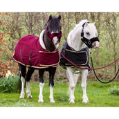 HB Harry & Hector Show Rug Dutch Crown Little Sizes Black HB Harry & Hector Show Rug Dutch Crown Little Sizes Black