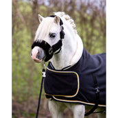HB Harry & Hector Show Rug Dutch Crown Little Sizes Black HB Harry & Hector Show Rug Dutch Crown Little Sizes Black