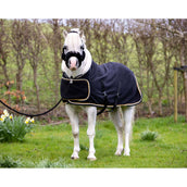 HB Harry & Hector Show Rug Dutch Crown Little Sizes Black HB Harry & Hector Show Rug Dutch Crown Little Sizes Black