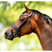HB Showtime Bridle Very Soft Black HB Showtime Bridle Very Soft Black