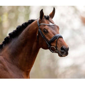 HB Showtime Bridle Great Love Black HB Showtime Bridle Great Love Black