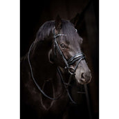 HB Bridle Showtime Evalira Blue/Black HB Bridle Showtime Evalira Blue/Black