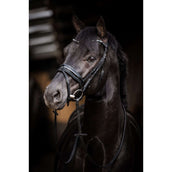 HB Bridle Showtime Evalira Blue/Black HB Bridle Showtime Evalira Blue/Black