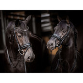 HB Bridle Showtime Evalira Black HB Bridle Showtime Evalira Black