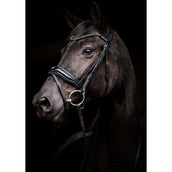HB Bridle Showtime Evalira Black HB Bridle Showtime Evalira Black