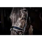 HB Showtime Bridle Special Guy Black/White HB Showtime Bridle Special Guy Black/White