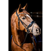 HB Showtime Bridle Special Guy Black HB Showtime Bridle Special Guy Black