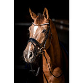 HB Showtime Bridle Special Guy Black HB Showtime Bridle Special Guy Black