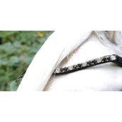 HB Bridle Special Black/Burgundy HB Bridle Special Black/Burgundy