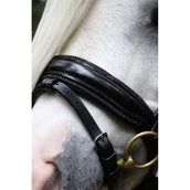HB Bridle Special Black/Burgundy HB Bridle Special Black/Burgundy