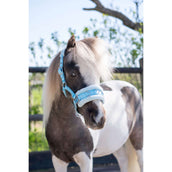 HB Halter Nylon Cavesson Lightblue HB Halter Nylon Cavesson Lightblue