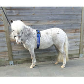 HB Lunging Girth Little Sizes Royal Blue HB Lunging Girth Little Sizes Royal Blue