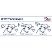 Harry's Horse Lunging System Harry's Horse Lunging System