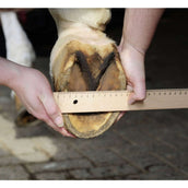 HKM Hoof Boot Black HKM Hoof Boot Black