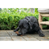 Bugbone Dog Snack 6 Pieces Bugbone Dog Snack 6 Pieces