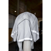 Amigo Flyrider Silver/Titanium Grey/Silver Amigo Flyrider Silver/Titanium Grey/Silver