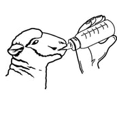 Kerbl Lamb Feed Bottle Anti-vac Kerbl Lamb Feed Bottle Anti-vac