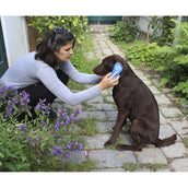 Magic Brush Brush Dog Wildrose Magic Brush Brush Dog Wildrose