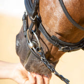 Kieffer Bridle Ultrasoft Economy II Black Kieffer Bridle Ultrasoft Economy II Black