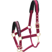 Kieffer Head Collar Nylon Burgundy Kieffer Head Collar Nylon Burgundy