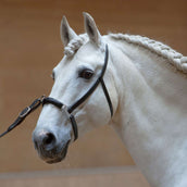 Kieffer Cavesson Anja Beran Black Kieffer Cavesson Anja Beran Black