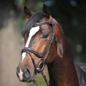 Kavalkade Snaffle Bridle Ivy Brown Kavalkade Snaffle Bridle Ivy Brown