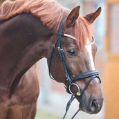 Kavalkade Bridle Everness Black Kavalkade Bridle Everness Black