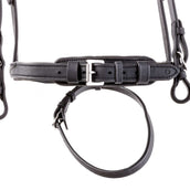 Kavalkade Bridle Everness Black Kavalkade Bridle Everness Black