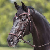 Kavalkade Bridle Everana Hannoverian Brown Kavalkade Bridle Everana Hannoverian Brown