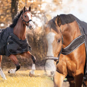 Kavalkade Turnout / Step Mill Rug Halifax 2in1 200g Black Kavalkade Turnout / Step Mill Rug Halifax 2in1 200g Black