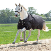 Kavalkade Outdoor Rug Alaska IV 100g Black Kavalkade Outdoor Rug Alaska IV 100g Black