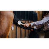 Kentucky Mane Brush Kentucky Mane Brush