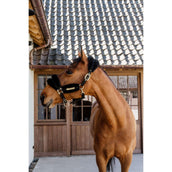 Kentucky Halter Nylon Wool Soft Black Kentucky Halter Nylon Wool Soft Black